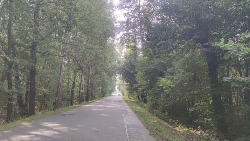 Działka Sprzedaż Borzęcin Duży Spacerowa